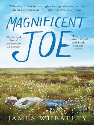 cover image of Magnificent Joe